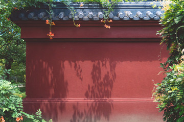 紅墻