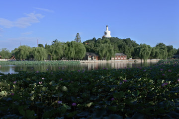 北京北海公園