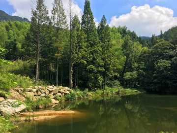 羅田山水