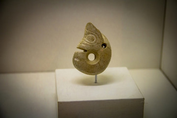 玉豬龍