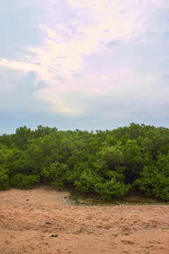特呈島度假村