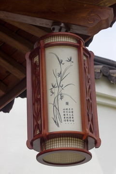 景區(qū)蘭花圖案燈籠