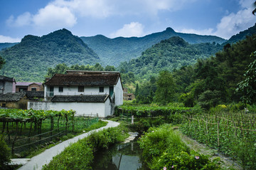 山野風(fēng)光