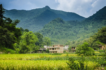 田野風(fēng)光