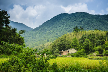 田野風(fēng)光