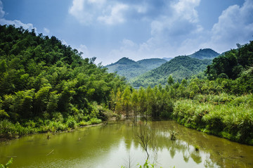 山林風(fēng)光