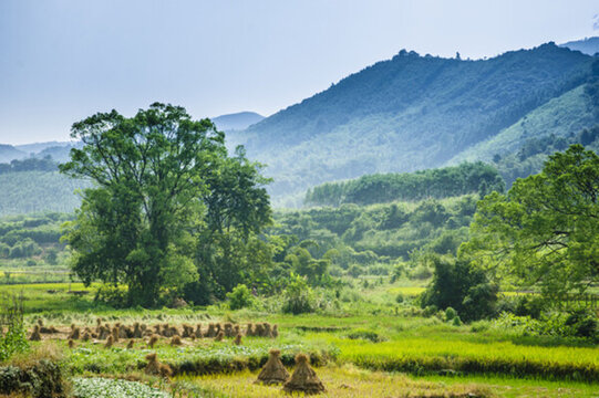 山野風(fēng)光
