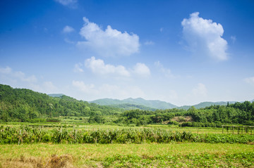 山野風(fēng)光