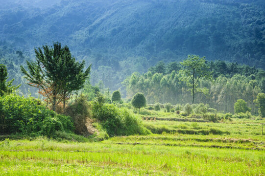 山野風(fēng)光