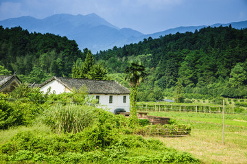 山野風光