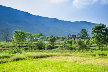 山野風(fēng)光
