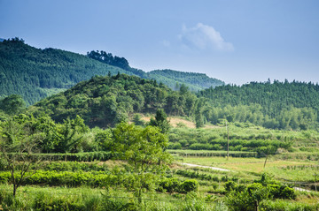山野風(fēng)光