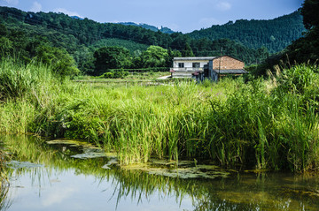山野風(fēng)光