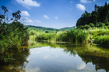 山野風(fēng)光
