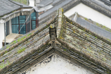 白族建筑