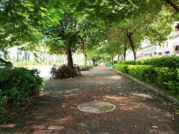 林蔭綠道