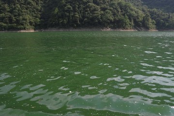 酉水三峽風景