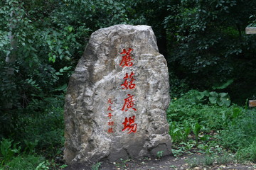 蘑菇廣場(chǎng)