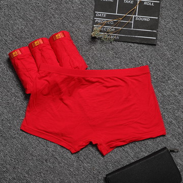 男士紅內(nèi)褲