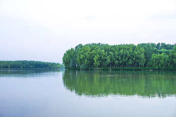 黃河濕地