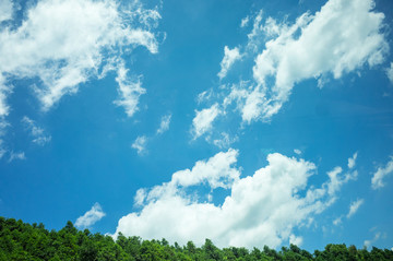 田野風(fēng)光