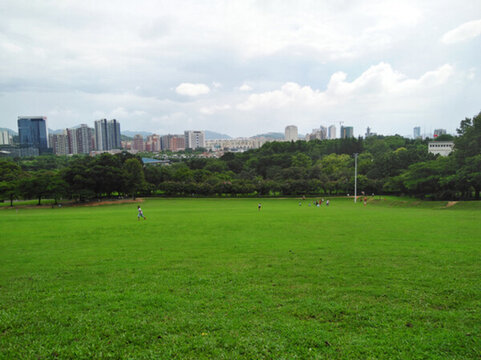 城市綠地