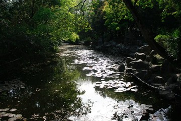 上海公園