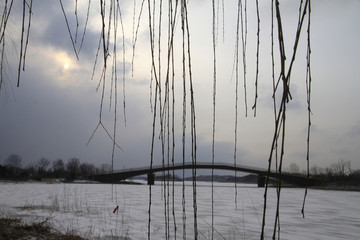濕地公園