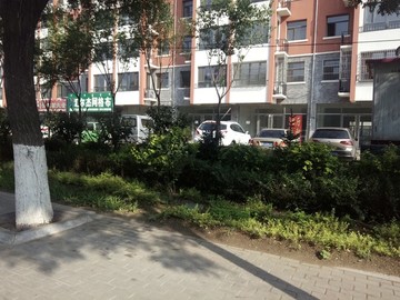 小區(qū)綠化