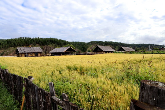 農(nóng)家小院