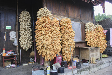 玉米晾曬