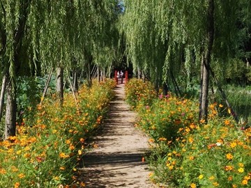 公園小徑