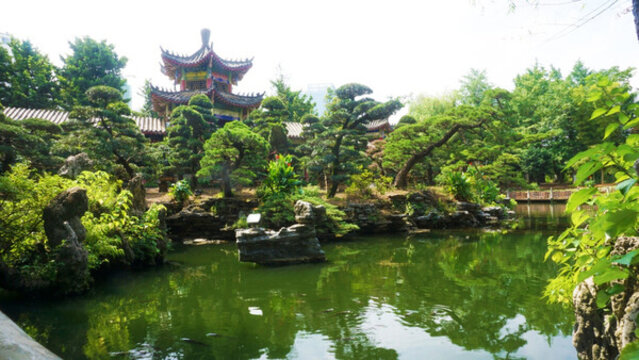 景區(qū)風(fēng)貌