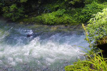 綠水青山