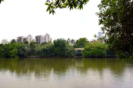 湖畔風(fēng)光