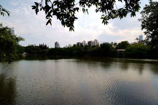美麗風(fēng)景