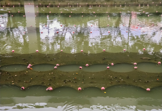 漁網