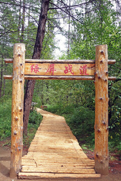 林間小路樹林棧道