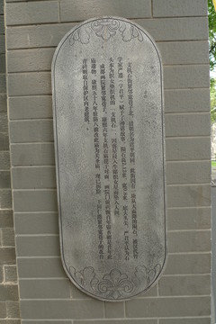 腐蝕板