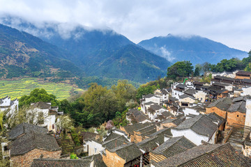 春到篁嶺