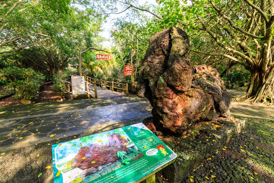 中國(guó)海口石山火山群國(guó)家地質(zhì)公園