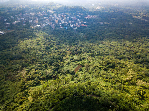 中國海口石山火山群國家地質(zhì)公園