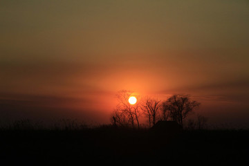夕陽紅
