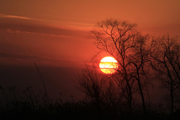 夕陽