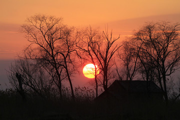 夕陽(yáng)紅