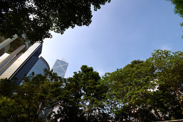 太極園