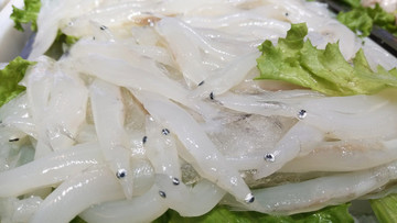 銀魚