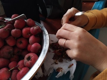 山楂去核制作冰糖葫蘆