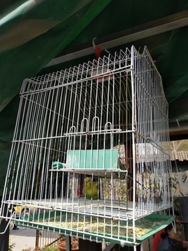 鳥籠