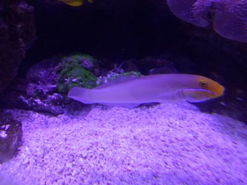 海洋世界